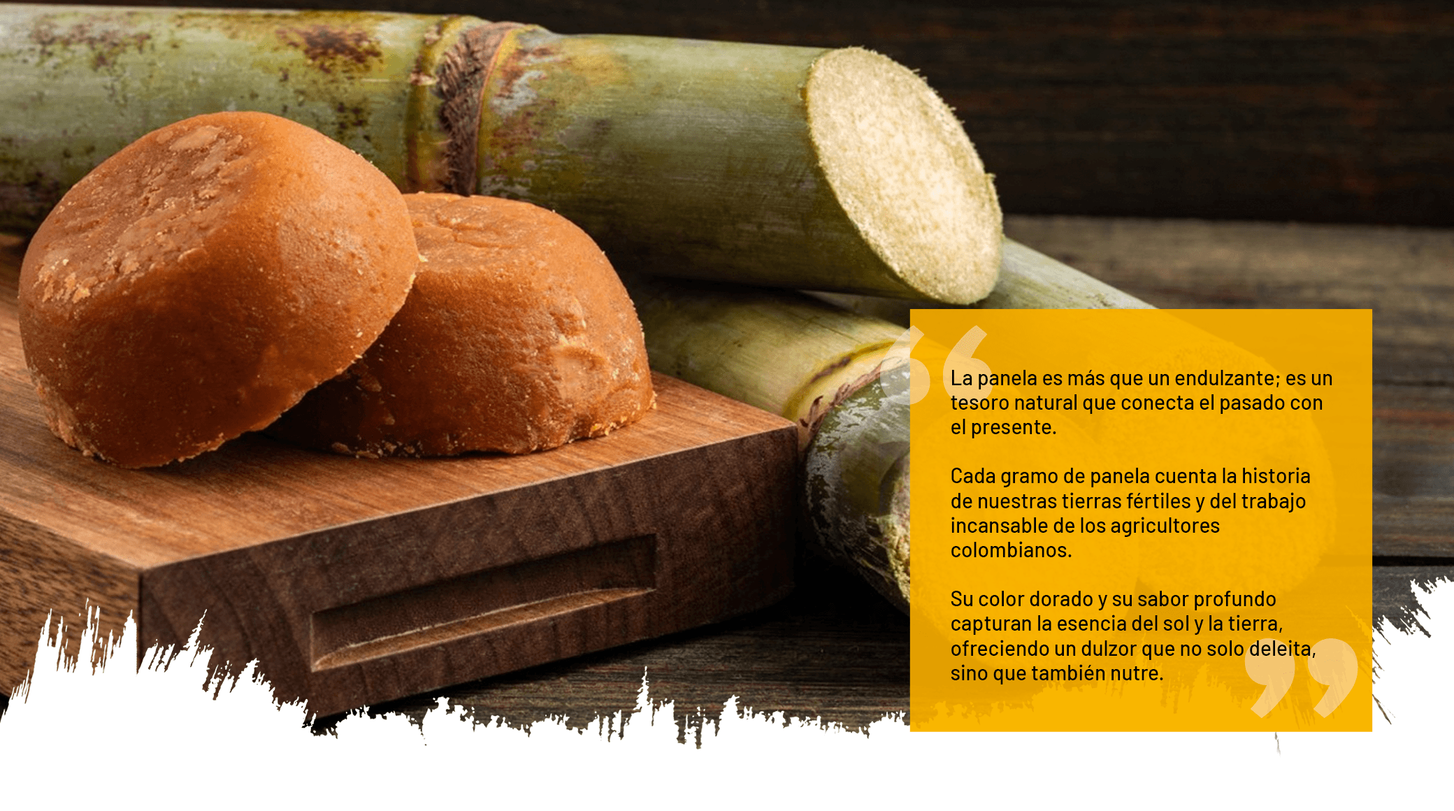 panela micro pulverizada, panela pulverizada, panela granulada, panela colombiana, panela colombia, mejor panela, producción de panela en Colombia, comprar panela, exportación de panela, beneficios de la panela, mercado de panela en Colombia, procesamiento de panela, historia de la panela en Colombia, panela orgánica, maquila de panela, heincke
