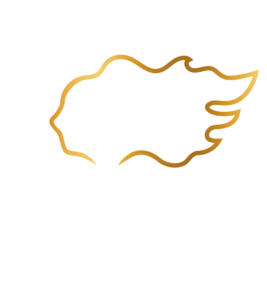 Heincke Group, Agriculture Revolution, Alimentos Saludables, Agricultura Sostenible, agro colombiano, mejores empresas colombianas, mejores empresas, campo colombiano, agroindustria