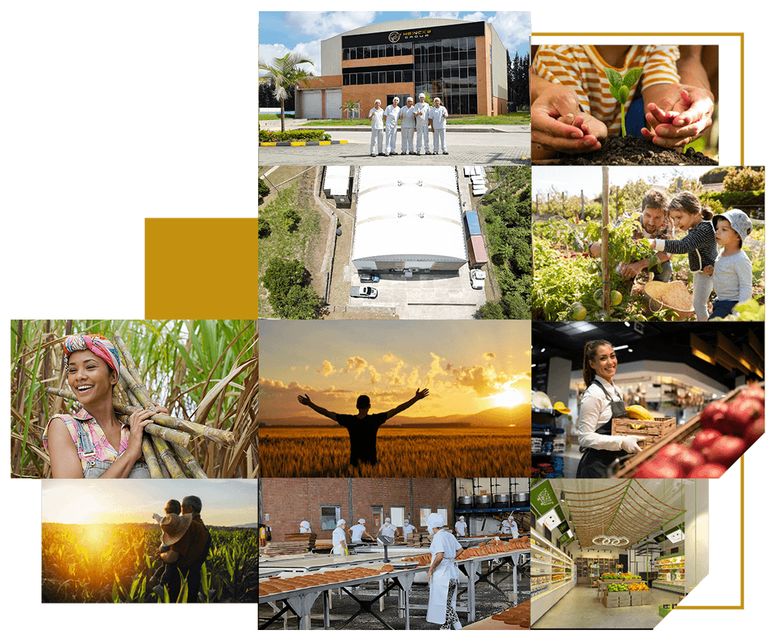 Alimentos Saludables & Agricultura Sostenible