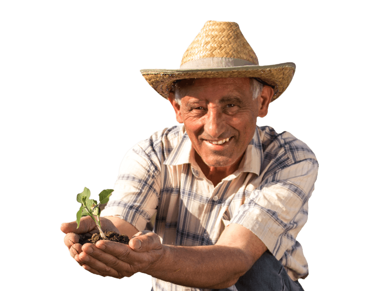 Alimentos Saludables & Agricultura Sostenible