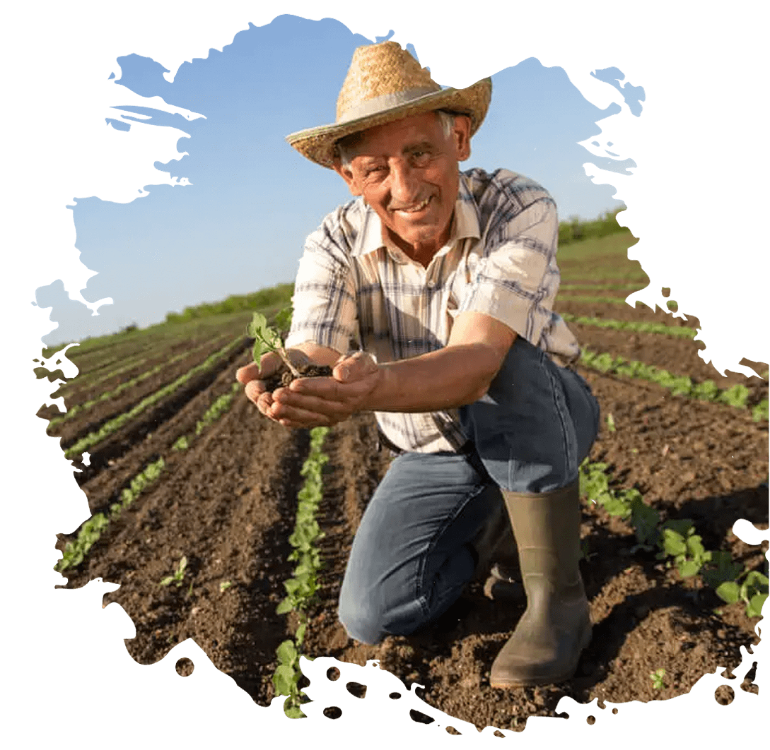 Alimentos Saludables & Agricultura Sostenible