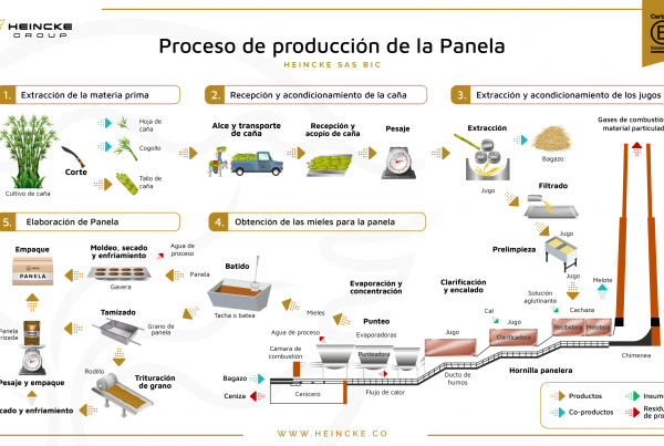 Proceso de la panela, proceso de producción de la panela, unrefined sugar cane process