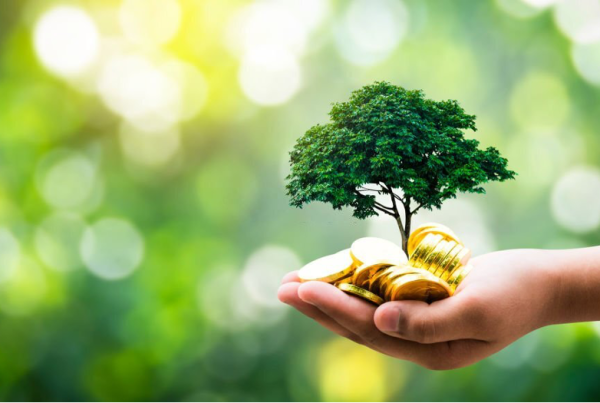 Triple Impacto, Agricultura Sostenible, Heincke, Empresa B, B Corp, BIC