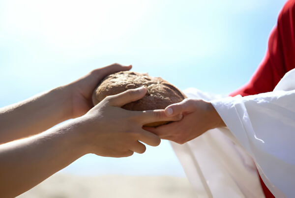 Semana Santa Heincke Group, Alimentos saludables y nutritivos