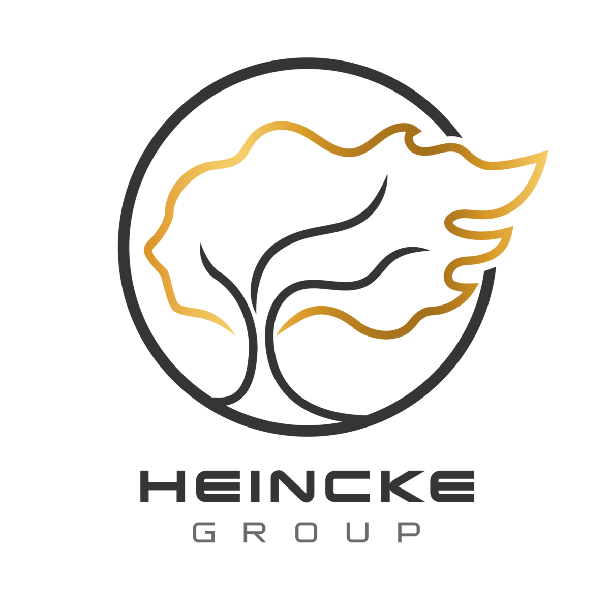 Heincke Group, Agriculture Revolution, Alimentos Saludables, Agricultura Sostenible, agro colombiano, mejores empresas colombianas, mejores empresas, campo colombiano, agroindustria