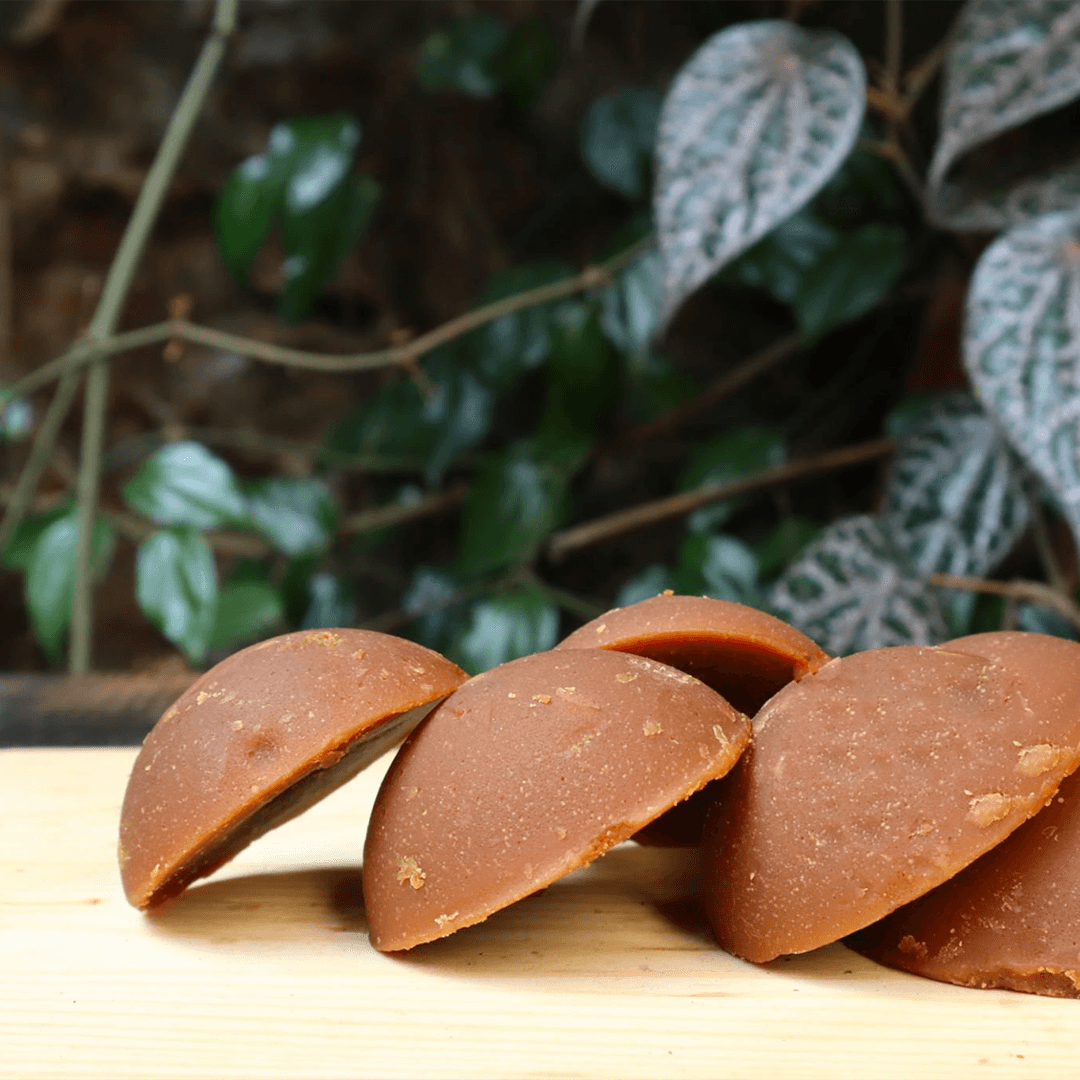 panela micro pulverizada, panela pulverizada, panela granulada, panela colombiana, panela colombia, mejor panela, producción de panela en Colombia, comprar panela, exportación de panela, beneficios de la panela, mercado de panela en Colombia, procesamiento de panela, historia de la panela en Colombia, panela orgánica, maquila de panela