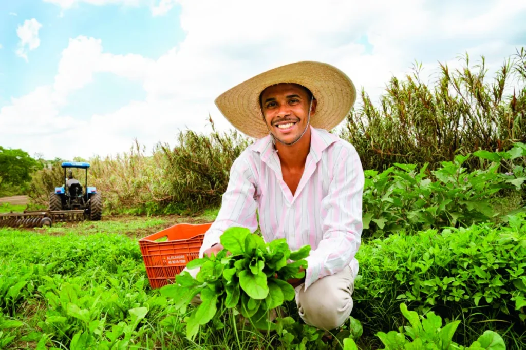 seguridad alimentaria